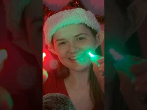 Elf Cranial Nerve Exam 🎄👂#asmr #shorts