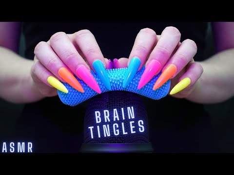 Asmr Sponge on Mic : Scratching, Brushing, Squishing, Crinkle etc No Talking for Sleep - Long Nails