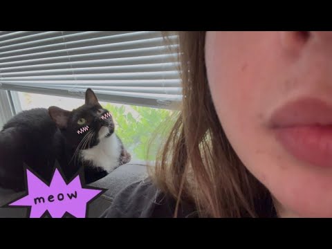 POV: You’re a cat and it’s bath time (ACTUAL lens licking ASMR) 🐈🩷