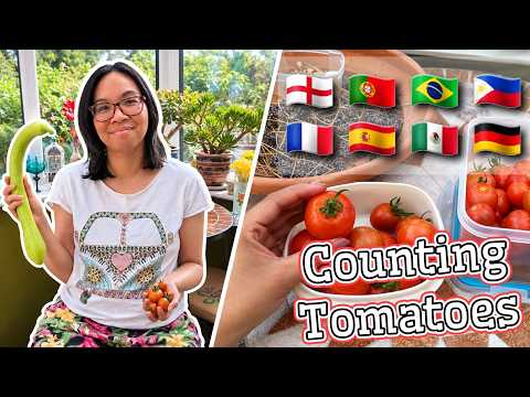 ASMR Counting Tomatoes in Different Languages For Sleep 🍅 LOFI Soft Speaking Nature Sounds 😴