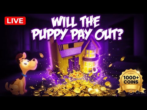 ASMR Live 🛑 #live #asmr #satisfying #shortslive #shortsfeedpuppy piggy bank