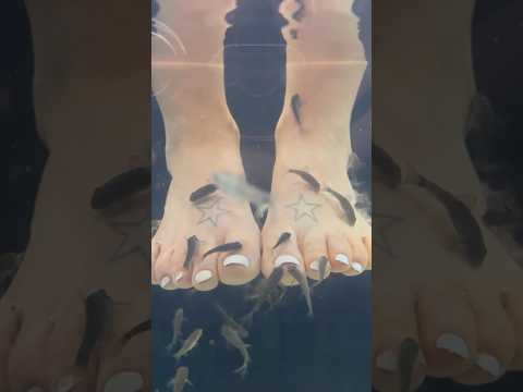 Fish Foot Spa | Aquarium ASMR #legasea