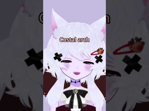 Costal Arch: I didn't realize it had a name!