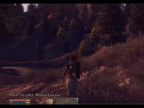 ASMR: TES IV Oblivion - Cat Suits Abound