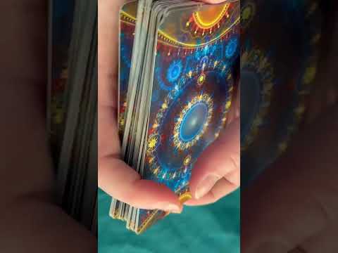 What do the cards say? #dailytarotreading