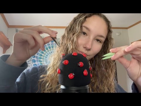 ASMR picking ladybugs off of you🐞❤️ (mic scratching, plucking, and closeup whispering)