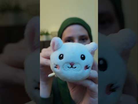 Kitty personal attention #asmr #asmrvideos #asmrroleplay #personalattention