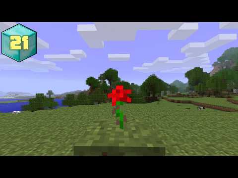 ASMR Beta Minecraft | Rosy Rim