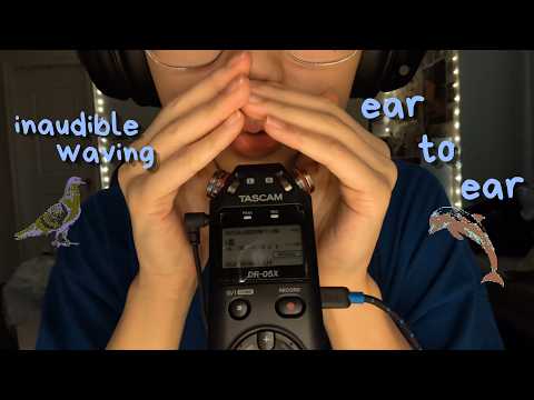 asmr | ear to ear mouth sounds, inaudible, tascam wave rambles