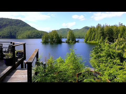 Serene Lake Cabin & Nature Sounds • ASMR No Talking