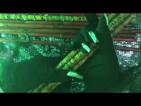 GLOVES with NAILS 👉 TAPPING 💚  SPELLS  in DUTCH 🇳🇱  [[ASMR]]