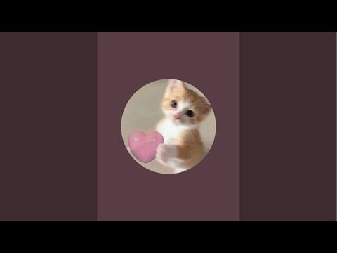 meet my new dog