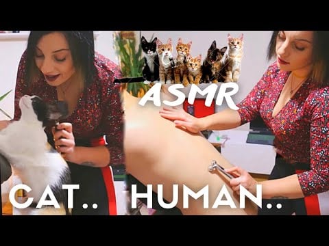ASMR CHAIR MASSAGE - CAT MASSAGE 🐈- SLEEP THERAPY | Miss OBEN