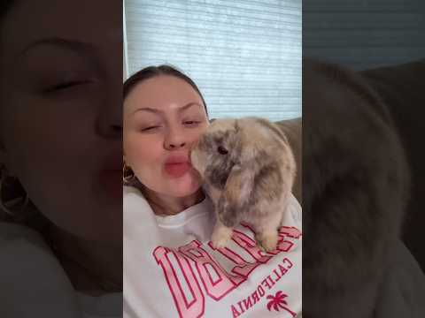 Waffles Kisses 😘