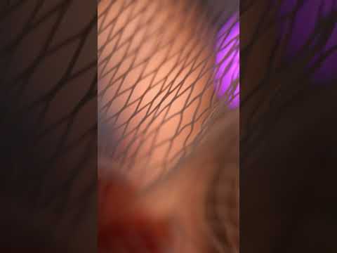 #asmr