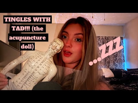 ASMR | TINGLES WITH TAD (the acupuncture doll!) TAPPING, SCRATCHING, POKING, LONG NATURAL NAILS 💅🏻