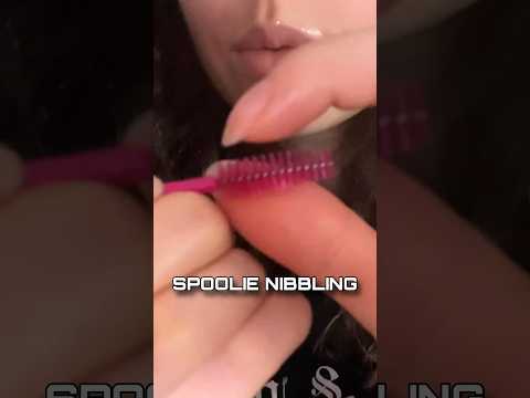 asmr spoolie nibbling #asmr #shorts