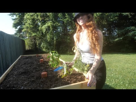 ASMR | Planting Clay Olla Pots in a Raised Garden Bed 👩‍🌾 4K