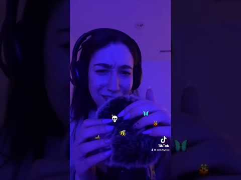 ASMR bug search!