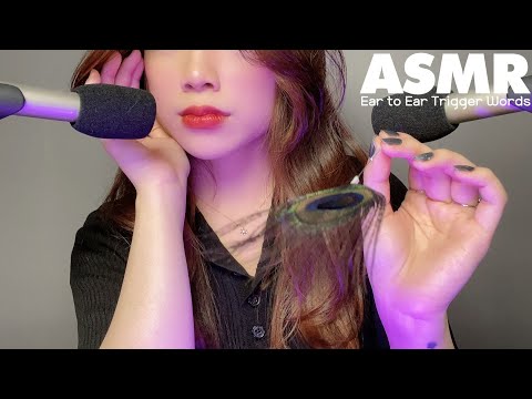 ASMR🌙 새로운 마이크로 단어반복 들어보세요🎙 Rode NT5ㅣ좌우 구분이 확실한 단어반복