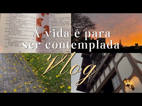 VLOG | para acalmar e lembrar de valorizar a vida 