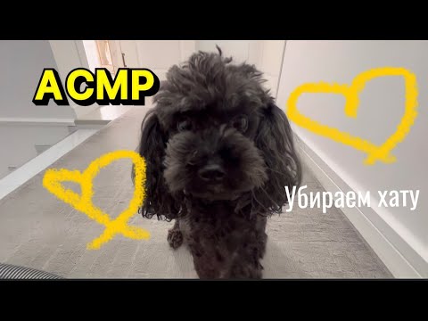 АСМР УБОРКА ДОМА✨🧺