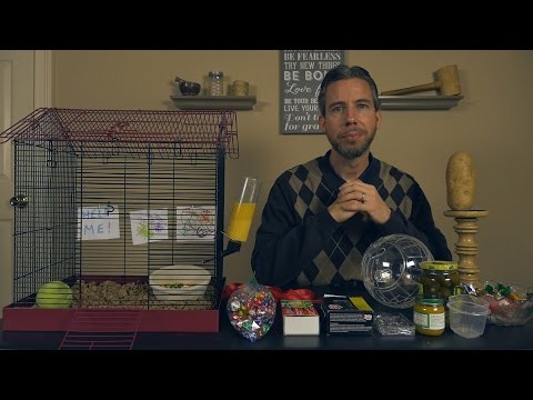 How to Care for a Pet Potato [ ASMR Tutorial ]