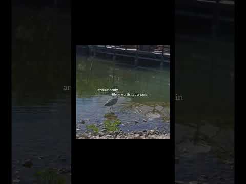 #asmr an inspiring trip to a Japanese garden in Crimea
