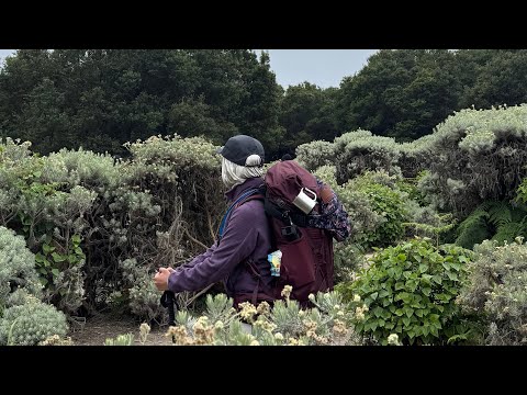 Vlog — Camping Ceria di Gunung Papandayan 🪷