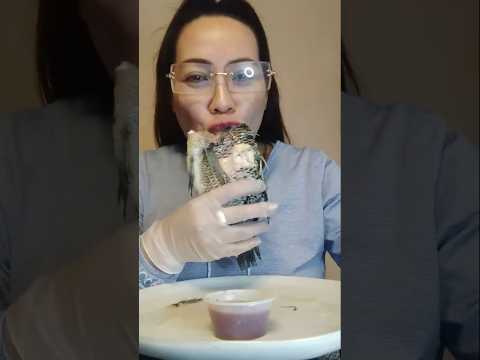 SUCKING BOILED TILAPIA HEAD#mukbang #everyone #shortsfeed #food #shortvideo #tilapia