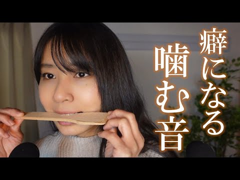 ASMR 物を噛む音(声なし - No Talking)