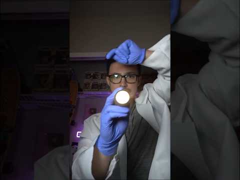 EYE EXAM EYE EXAM EYE EXAM ASMR Roleplay