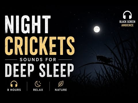 24/7 Night Crickets & white Noise for Deep Sleep