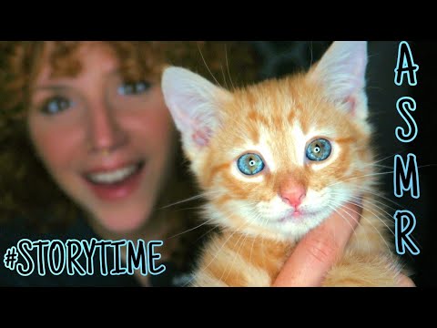 ASMR ita #storytime: NUOVO "BIMBO" in FAMIGLIA🐈 ❤️salvato dalla STRADA + Hey Happiness💍