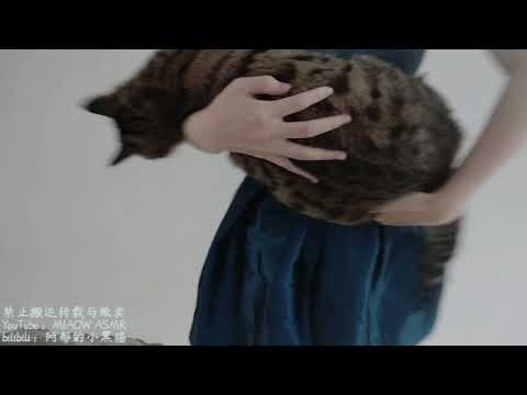 3dio WHISHERS 低语     触发词   1【阿郁的小黑猫/ MIAOW ASMR】