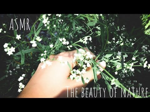 ASMR The Beauty of Nature