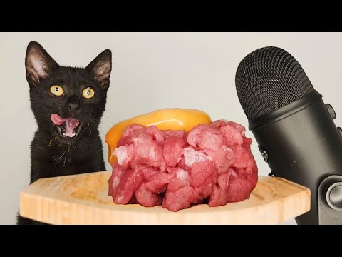 CAT EATING MEAT & EGG YOLK ASMR MUKBANG