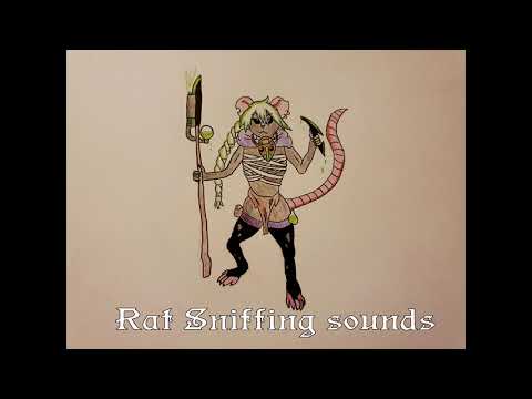 Rat Sniffing #ASMR