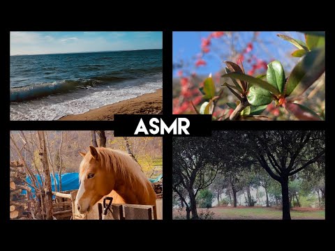 ASMR| nature🍃🌨🌊