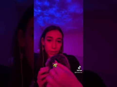 ASMR bug search!