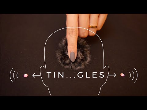 ASMR Tingles Through Your Brain | Panning Sounds (No Talking)