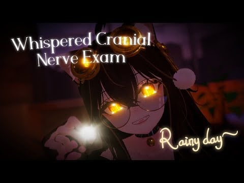 ASMR | Rainy Day Whispered Cranial Nerve Examination