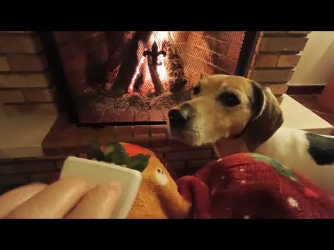 ASMR cozy tapping heaven with fireplace background sounds ✨🔥😴(includes camera tapping and tracing)