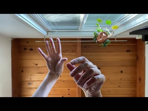 ASMR Whisper Ramble: Remember Me?