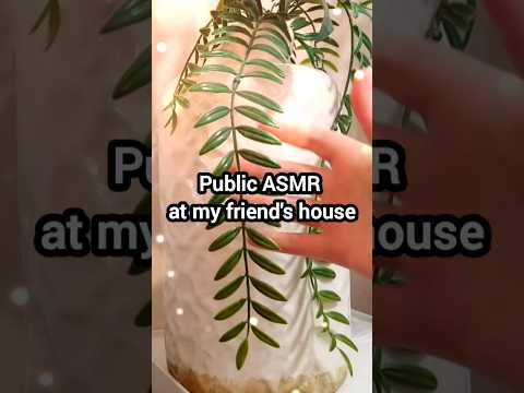 Public ASMR at a friend's house 🏠 #asmrlikeasandbox #tapping #asmr #scratching #relaxing