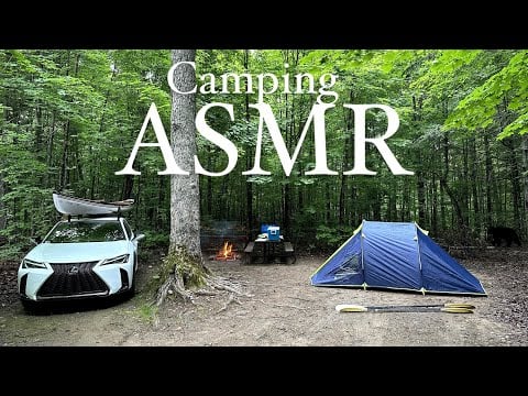 ASMR CAMPING IN RAIN | Grizzly Bear Sighting, Canoe Riding, Hiking & More