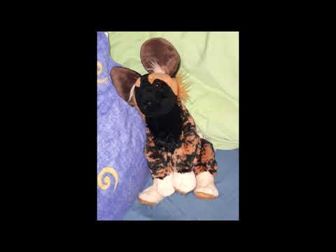 Plushie Brushing and Hair Playing Sounds #ASMR