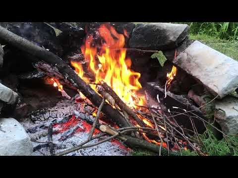 ASMR Fire burning crackling birds draw near (real)