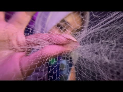 ASMR Spider Web (white web) 🕷️🕸️