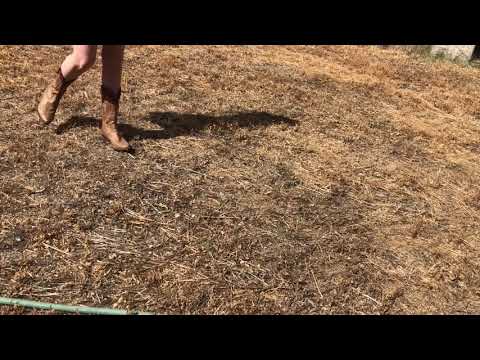 COWBOY BOOTS ON DEAD GRASS *CRUNCHY* ASMR (No Talking)